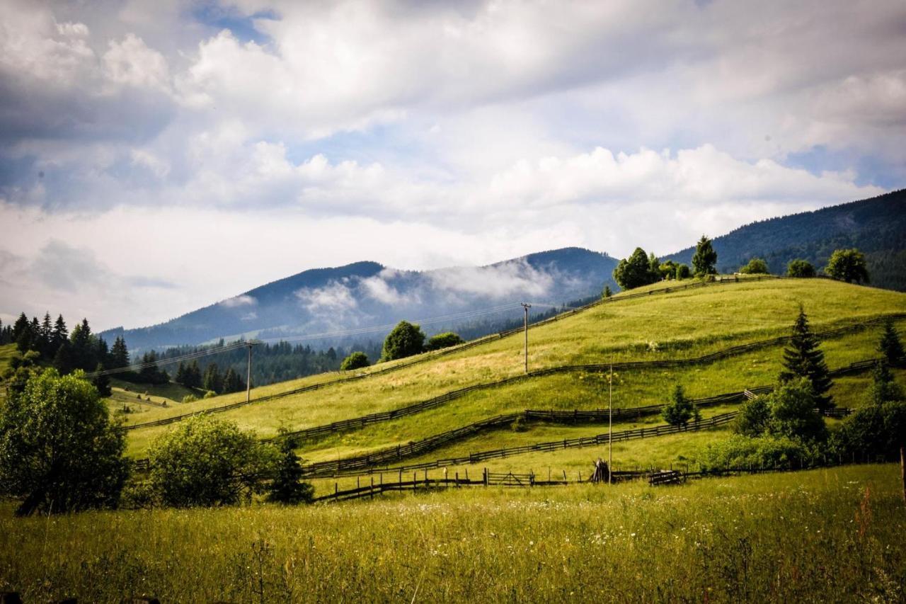 Montana Resort Kolibica Kültér fotó