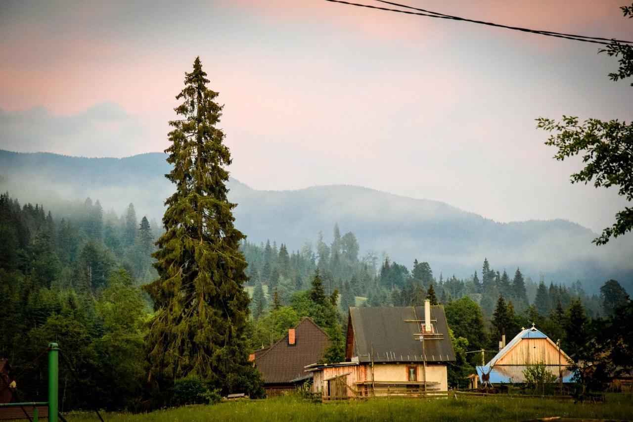 Montana Resort Kolibica Kültér fotó