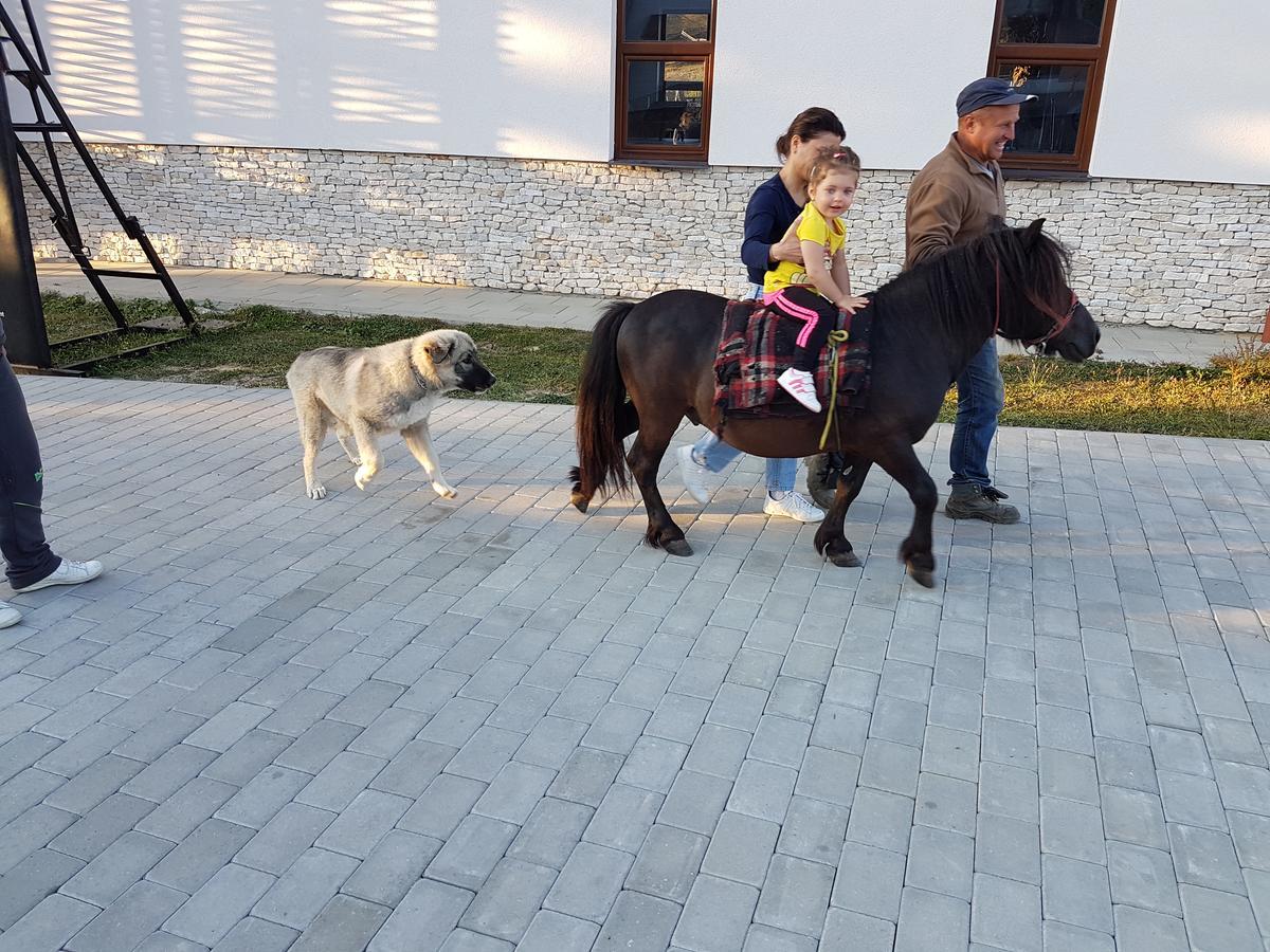 Montana Resort Kolibica Kültér fotó